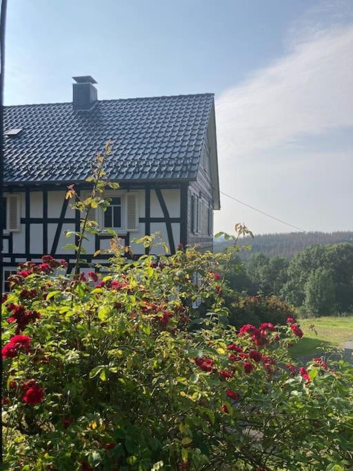 Ferienwohnung Am Alten Backhaus Бад-Берлебург Экстерьер фото